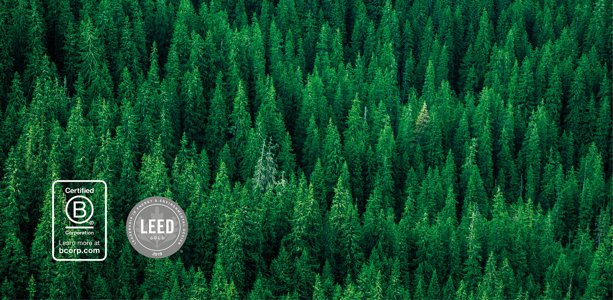 Environmental commitment