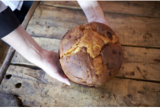 Panettoni classici, i migliori da nord a sud