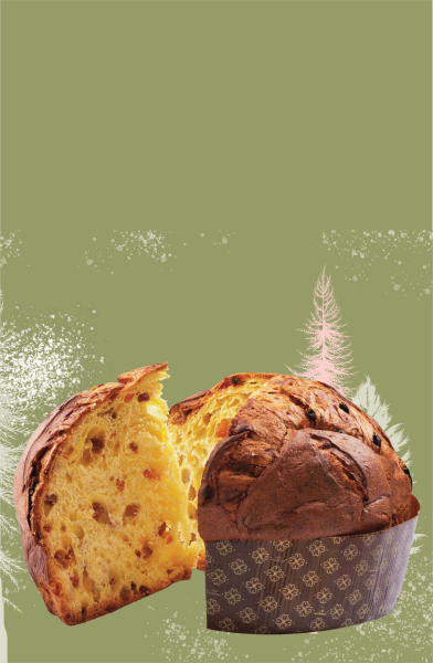 Artisan Christmas Panettone