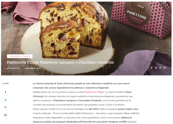 Pasticceria Filippi Panettone Lamponi e Cioccolato Fondente