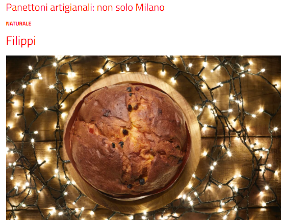 I migliori panettoni artigianali d’Italia